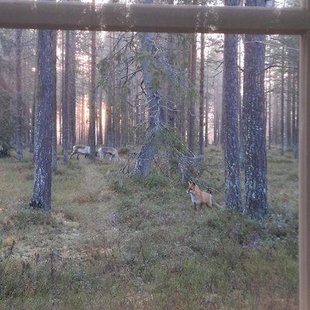 Yllaes Nilimaja Apartment Yllasjarvi Bagian luar foto