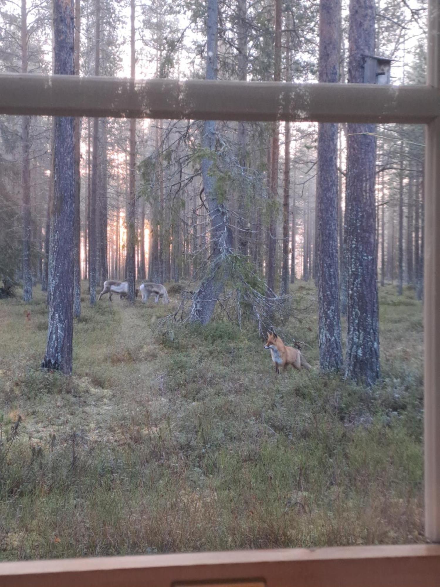 Yllaes Nilimaja Apartment Yllasjarvi Bagian luar foto